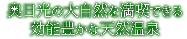 奥日光の大自然を満喫できる効能豊かな天然温泉